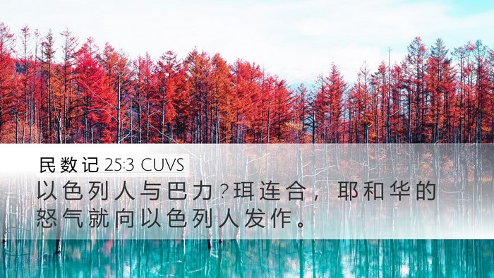 民 数 记 25:3 CUVS Bible Verse Image
