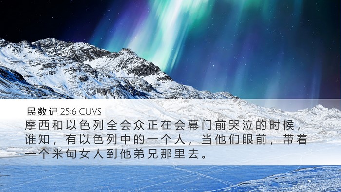 民 数 记 25:6 CUVS Bible Verse Image