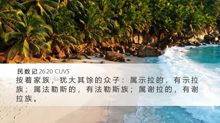 民 数 记 26:20 CUVS Bible Verse Image