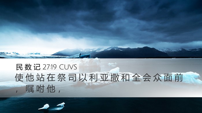 民 数 记 27:19 CUVS Desktop Wallpaper - 使 他 站 在 祭 司 以 利 亚 撒 和 全 - Desktop Bible Verse Wallpaper
