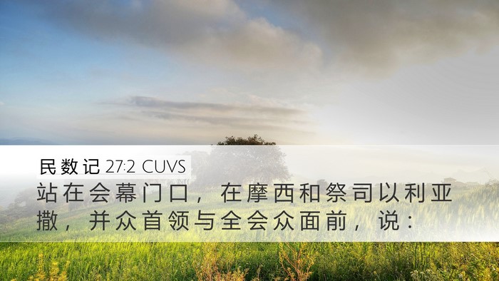 民 数 记 27:2 CUVS Desktop Wallpaper - 站 在 会 幕 门 口 ， 在 摩 西 和 祭 - Desktop Bible Verse Wallpaper