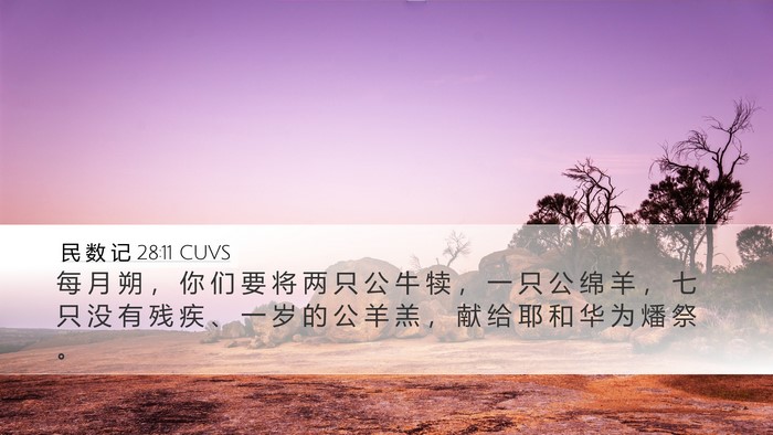 民 数 记 28:11 CUVS Bible Verse Image