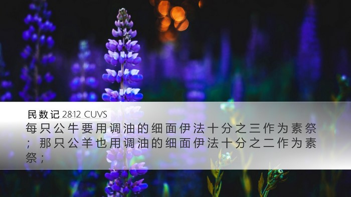 民 数 记 28:12 CUVS Bible Verse Image
