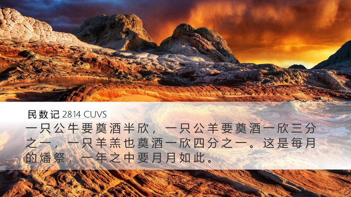 民 数 记 28:14 CUVS Bible Verse Image