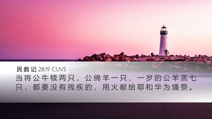 民 数 记 28:19 CUVS Bible Verse Image