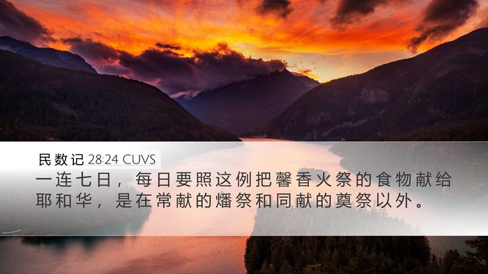 民 数 记 28:24 CUVS Desktop Wallpaper - 一 连 七 日 ， 每 日 要 照 这 例 把 - Desktop Bible Verse Wallpaper