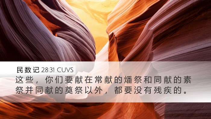 民 数 记 28:31 CUVS Bible Verse Image
