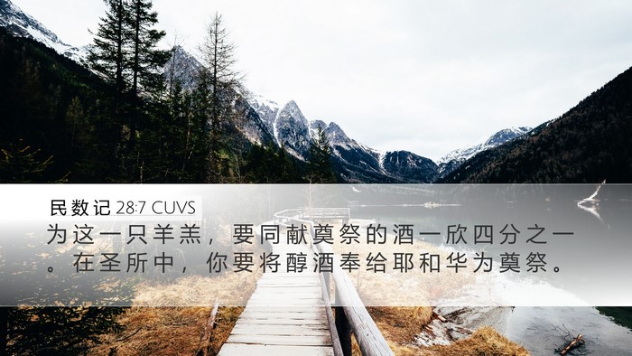 民 数 记 28:7 CUVS Bible Verse Image