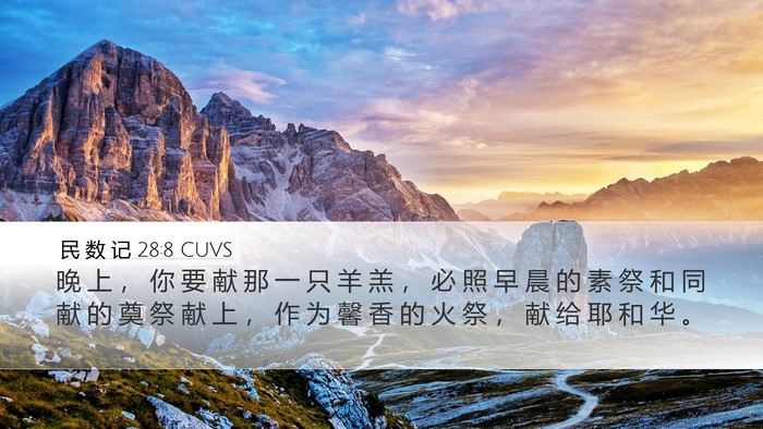 民 数 记 28:8 CUVS Desktop Wallpaper - 晚 上 ， 你 要 献 那 一 只 羊 羔 ， - Desktop Bible Verse Wallpaper