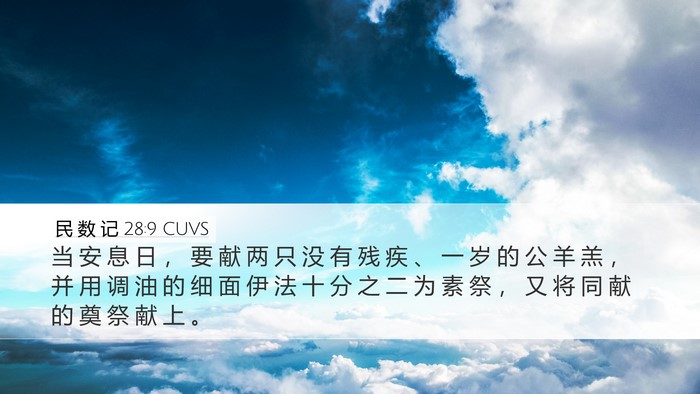民 数 记 28:9 CUVS Bible Verse Image