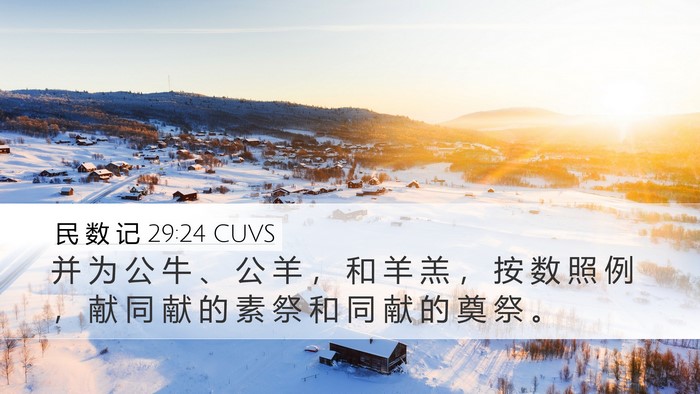 民 数 记 29:24 CUVS Desktop Wallpaper - 并 为 公 牛 、 公 羊 ， 和 羊 羔 ， - Desktop Bible Verse Wallpaper