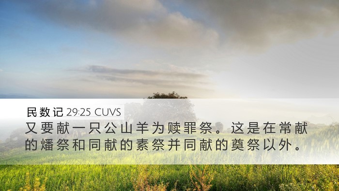 民 数 记 29:25 CUVS Bible Verse Image