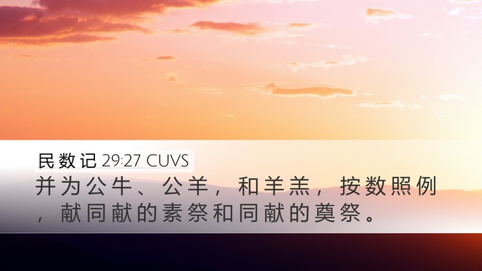民 数 记 29:27 CUVS Desktop Wallpaper - 并 为 公 牛 、 公 羊 ， 和 羊 羔 ， - Desktop Bible Verse Wallpaper