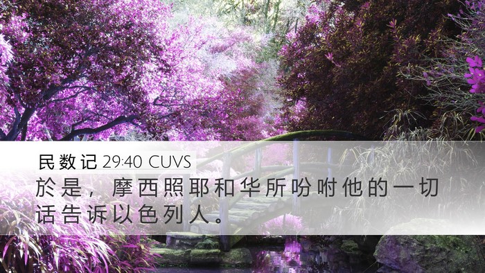 民 数 记 29:40 CUVS Bible Verse Image