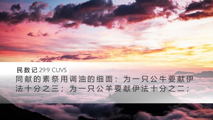 民 数 记 29:9 CUVS Desktop Wallpaper - 同 献 的 素 祭 用 调 油 的 细 面 ： - Desktop Bible Verse Wallpaper