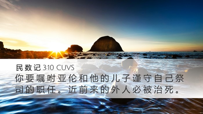 民 数 记 3:10 CUVS Bible Verse Image