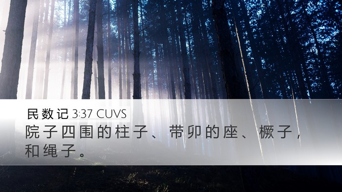 民 数 记 3:37 CUVS Desktop Wallpaper - 院 子 四 围 的 柱 子 、 带 卯 的 座 - Desktop Bible Verse Wallpaper