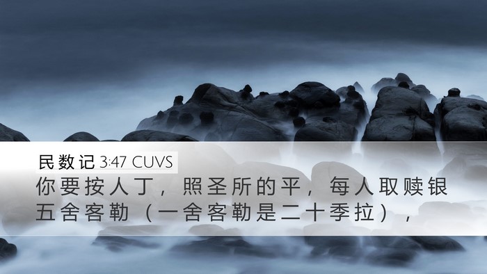 民 数 记 3:47 CUVS Desktop Wallpaper - 你 要 按 人 丁 ， 照 圣 所 的 平 ， - Desktop Bible Verse Wallpaper