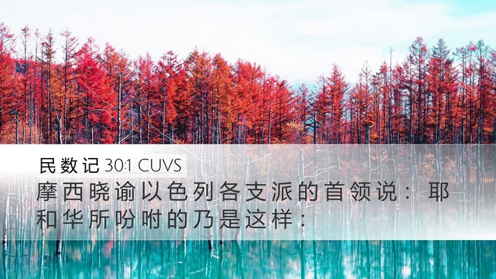 民 数 记 30:1 CUVS Bible Verse Image