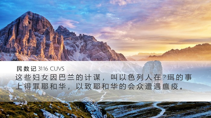 民 数 记 31:16 CUVS Bible Verse Image