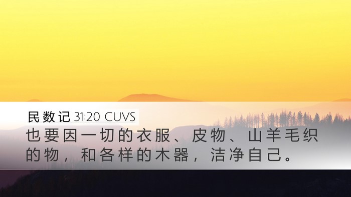 民 数 记 31:20 CUVS Bible Verse Image