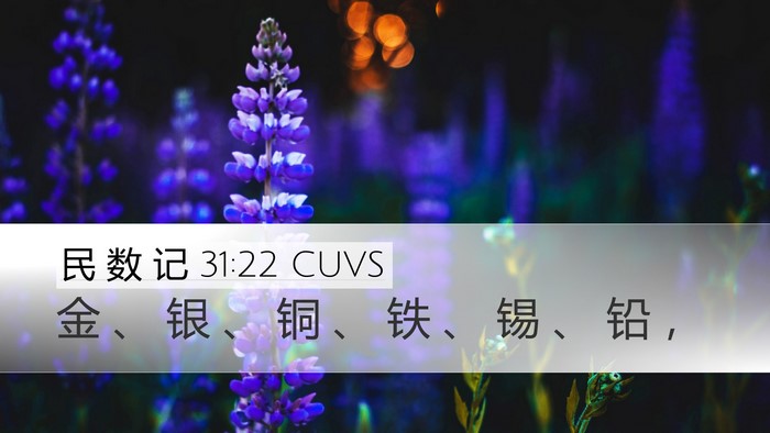 民 数 记 31:22 CUVS Bible Verse Image