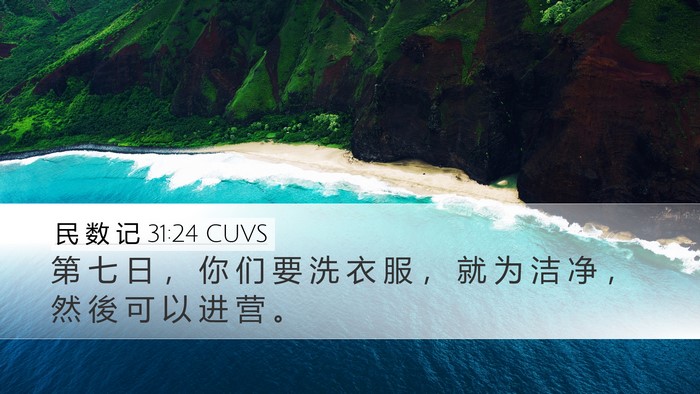 民 数 记 31:24 CUVS Bible Verse Image