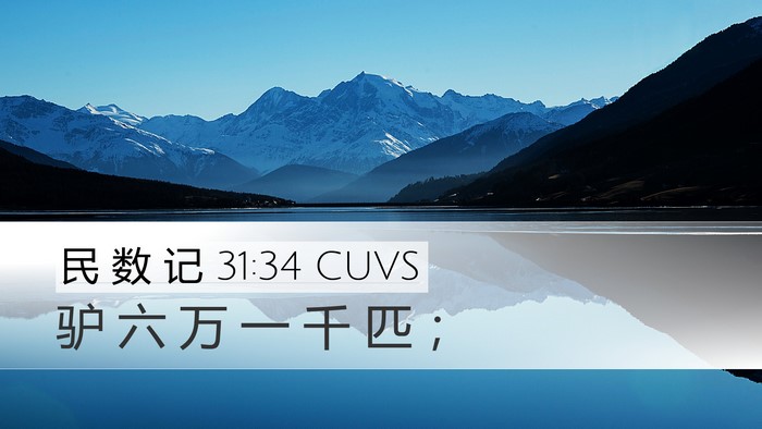 民 数 记 31:34 CUVS Desktop Wallpaper - 驴 六 万 一 千 匹 - Desktop Bible Verse Wallpaper
