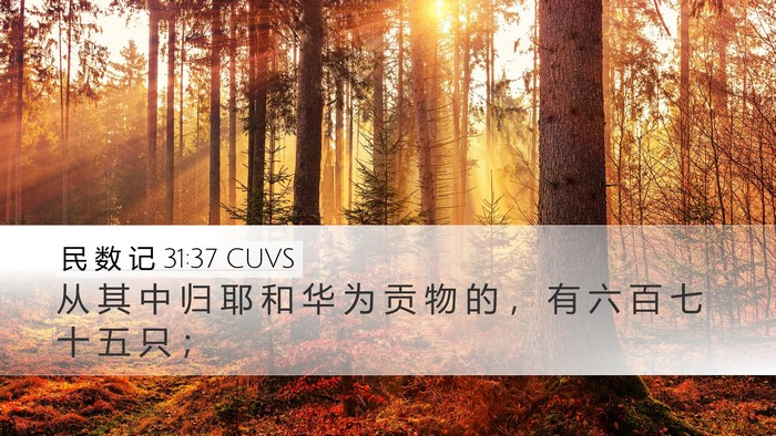 民 数 记 31:37 CUVS Desktop Wallpaper - 从 其 中 归 耶 和 华 为 贡 物 的 ， - Desktop Bible Verse Wallpaper