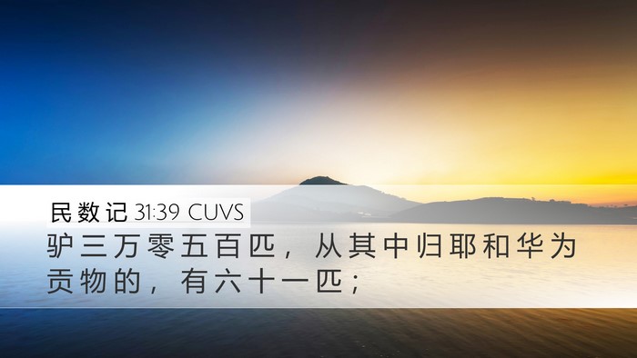 民 数 记 31:39 CUVS Desktop Wallpaper - 驴 三 万 零 五 百 匹 ， 从 其 中 归 - Desktop Bible Verse Wallpaper