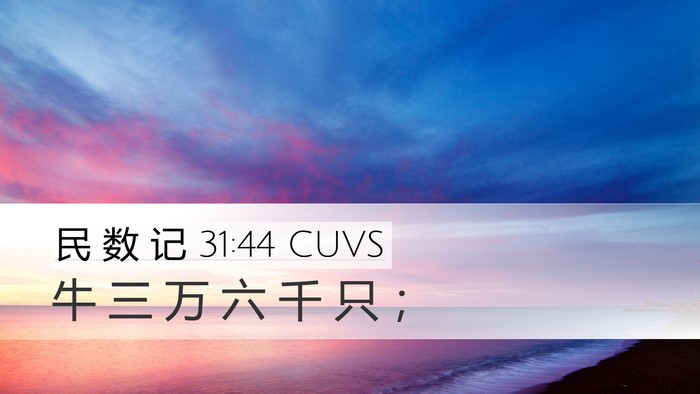 民 数 记 31:44 CUVS Desktop Wallpaper - 牛 三 万 六 千 只 - Desktop Bible Verse Wallpaper