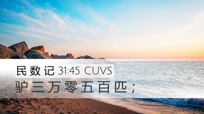 民 数 记 31:45 CUVS Desktop Wallpaper - 驴 三 万 零 五 百 匹 - Desktop Bible Verse Wallpaper