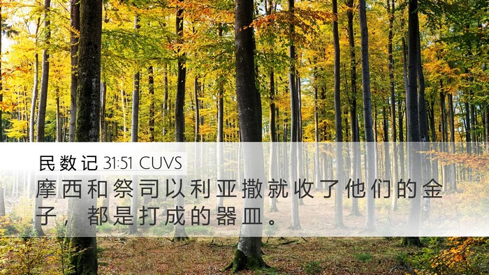 民 数 记 31:51 CUVS Desktop Wallpaper - 摩 西 和 祭 司 以 利 亚 撒 就 收 了 - Desktop Bible Verse Wallpaper