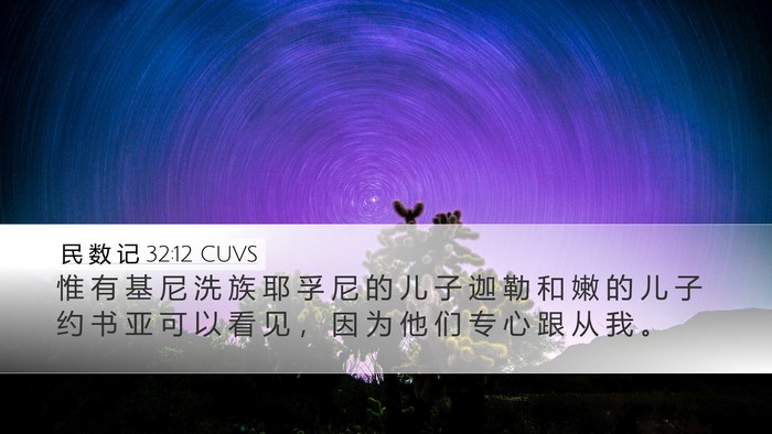 民 数 记 32:12 CUVS Bible Verse Image