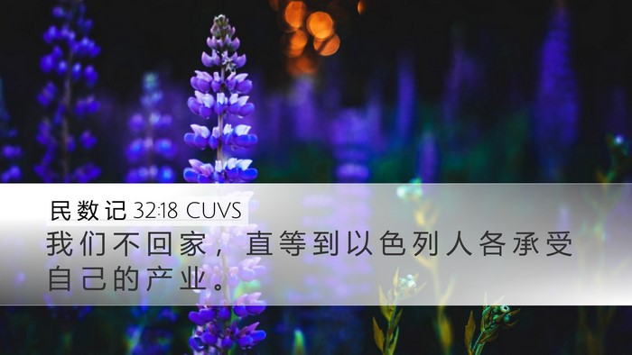 民 数 记 32:18 CUVS Bible Verse Image