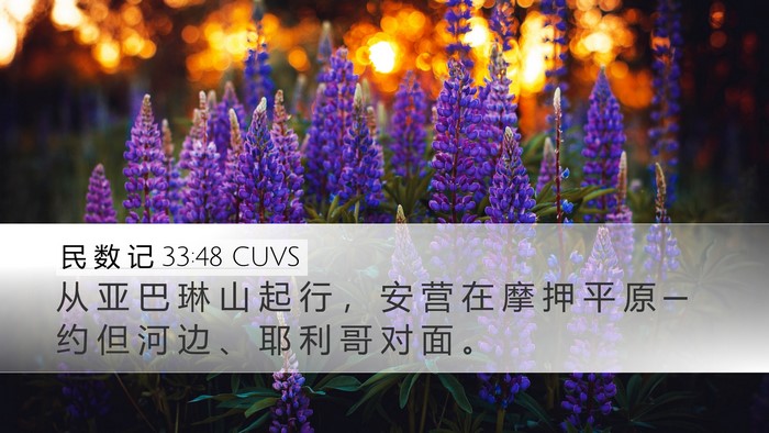 民 数 记 33:48 CUVS Bible Verse Image