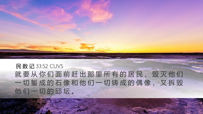 民 数 记 33:52 CUVS Bible Verse Image
