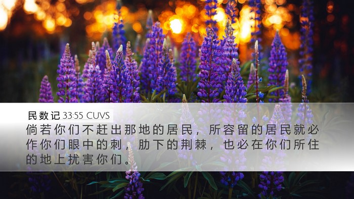 民 数 记 33:55 CUVS Bible Verse Image