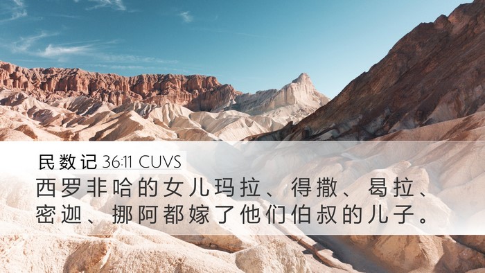 民 数 记 36:11 CUVS Desktop Wallpaper - 西 罗 非 哈 的 女 儿 玛 拉 、 得 撒 - Desktop Bible Verse Wallpaper