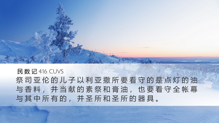 民 数 记 4:16 CUVS Bible Verse Image