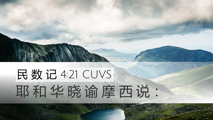 民 数 记 4:21 CUVS Bible Verse Image