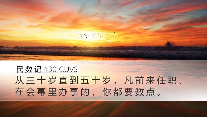民 数 记 4:30 CUVS Bible Verse Image