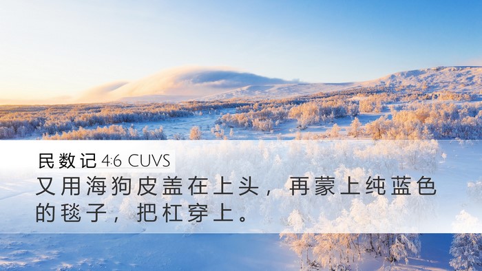 民 数 记 4:6 CUVS Bible Verse Image