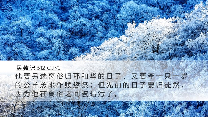 民 数 记 6:12 CUVS Bible Verse Image