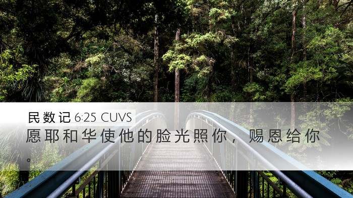 民 数 记 6:25 CUVS Bible Verse Image