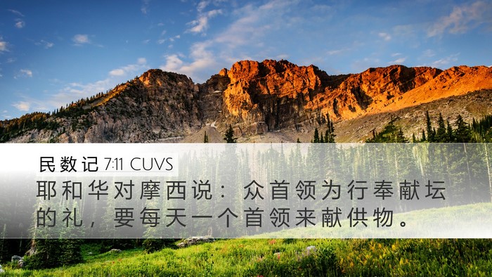 民 数 记 7:11 CUVS Desktop Wallpaper - 耶 和 华 对 摩 西 说 ： 众 首 领 为 - Desktop Bible Verse Wallpaper