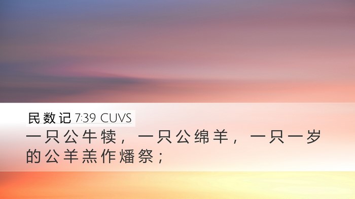 民 数 记 7:39 CUVS Desktop Wallpaper - 一 只 公 牛 犊 ， 一 只 公 绵 羊 ， - Desktop Bible Verse Wallpaper