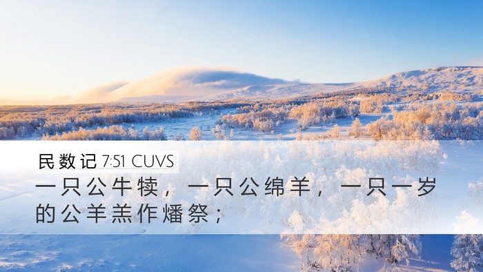 民 数 记 7:51 CUVS Desktop Wallpaper - 一 只 公 牛 犊 ， 一 只 公 绵 羊 ， - Desktop Bible Verse Wallpaper