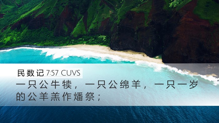 民 数 记 7:57 CUVS Desktop Wallpaper - 一 只 公 牛 犊 ， 一 只 公 绵 羊 ， - Desktop Bible Verse Wallpaper