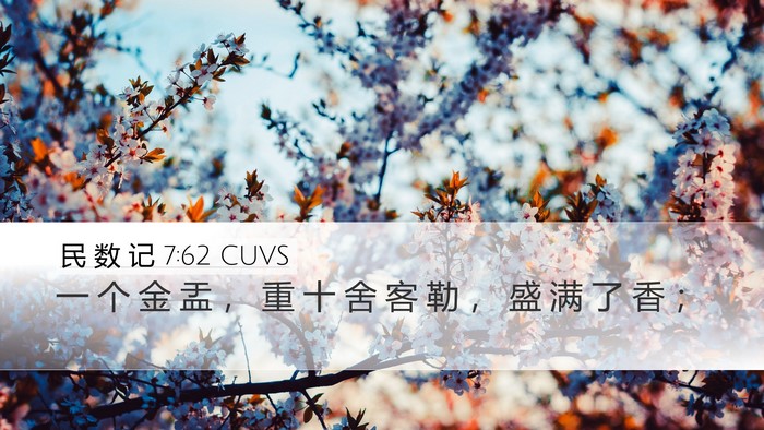 民 数 记 7:62 CUVS Desktop Wallpaper - 一 个 金 盂 ， 重 十 舍 客 勒 ， 盛 - Desktop Bible Verse Wallpaper
